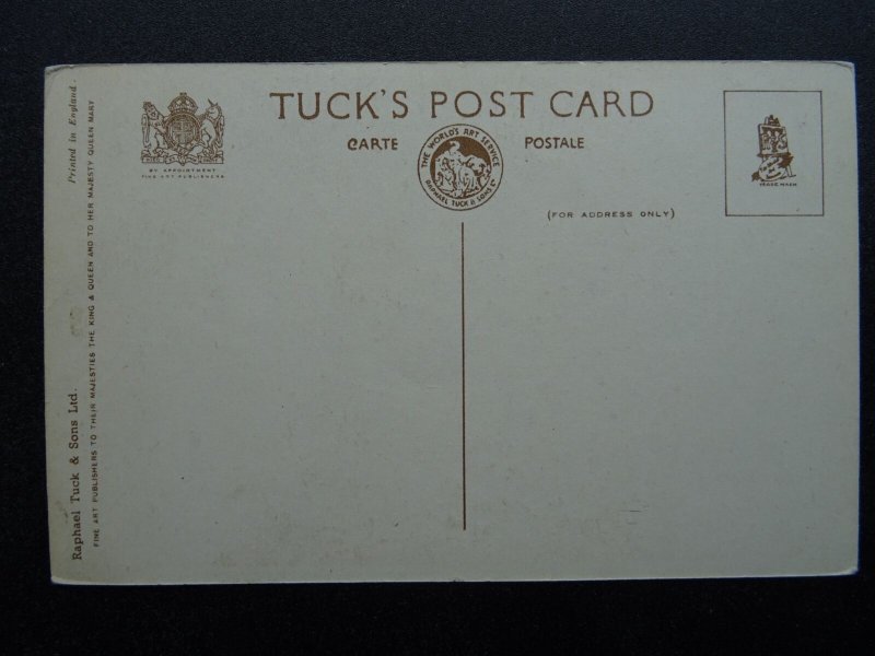 Wales Cymru ANGLESEY Beaumaris PENMON PRIORY c1951 Postcard by Raphael Tuck