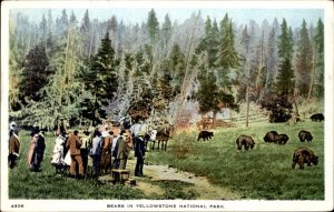 Yellowstone National Park Wyoming Bears Near Old Faithful Vintage Postcard