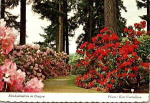 Oregon Portland Rhododendron Test Gardens