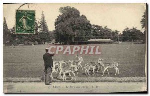 Postcard Old Lyon Park to Dains