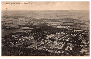 Vermont Bristol Bird's Eye View