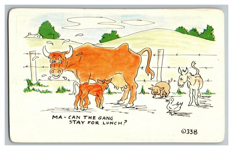 Postcard Ma - Can The Gang Stay For Lunch? Cows Vintage Standard View Card 