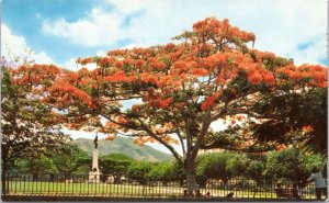 Postcard Trinidad Tobago - War Memorial, Port of Spain with Flambouyant in bloom