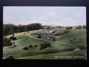 Hertfordshire Hemel Hempstead BOXMOOR The Golf Links c1907 Postcard by H.W.Flatt