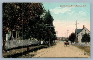 NORTH SYDNEY NS CANADA QUEEN STREET ANTIQUE POSTCARD