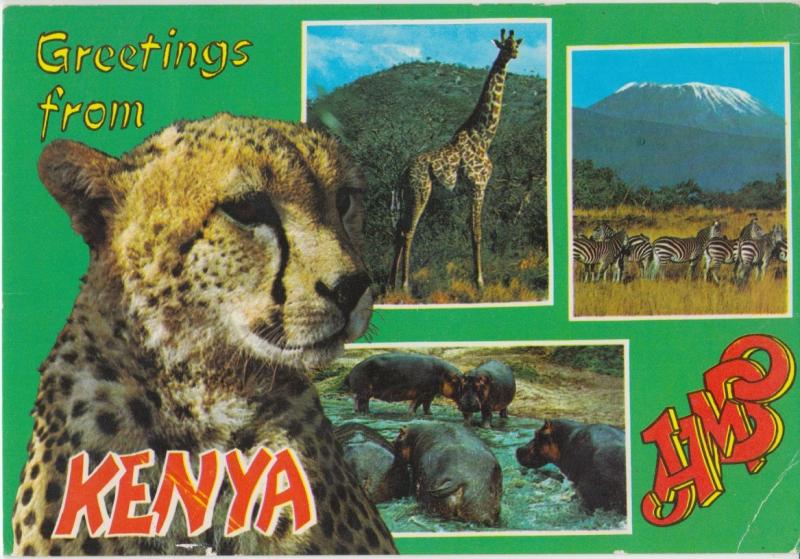 Greetings from KENYA, 1991 used Postcard