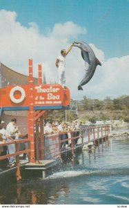 Man & Jumping Dolphin , 50-60s ; Theater of the Sea , Florida