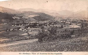 Birds Eye View - Roxbury in the Catskills, New York NY  