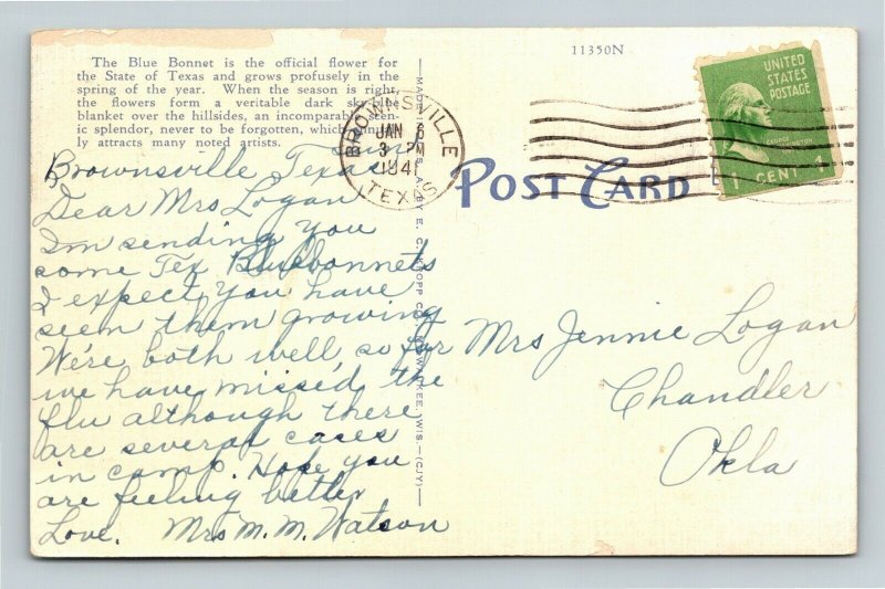 Texas, Scenic Blue Bonnets Field, State Flower, Linen c1941 Postcard 