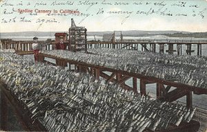 sardine Cannery Los Angeles Calif c1909 postcard