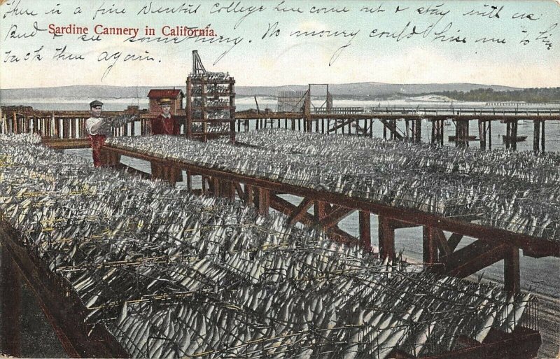 sardine Cannery Los Angeles Calif c1909 postcard