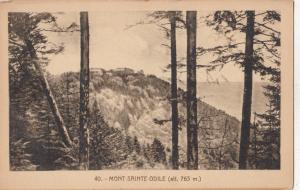 BF16248 mont sainte odile  france front/back image