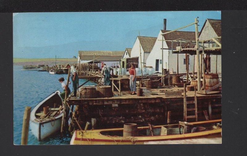 PEI RUSTICO Harbour with Fishing Lobster Boats Pub Book Room pm1962 ~ Chrome