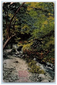 1910 Along Shady Ravine Lake Park Scenic View Milwaukee Wisconsin WI Postcard