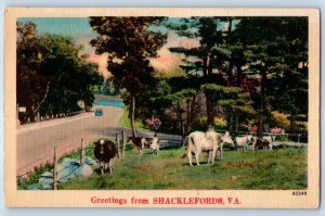 1948 Shacklefords Virginia VA Vintage Postcard Greetings Cow Herd Field Posted