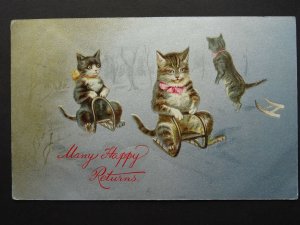 Greeting - Cats playing on Sledge c1906 Postcard by Wildt & Kray 534