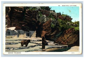 C.1900-07 Bear Pits, City Park, Denver Colo. Postcard P154E