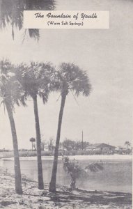 Florida Venice The Original Fountain Of Youth Warm Salt Springs