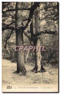 Postcard Old Tree Forest of Fontainebleau The charm Oak