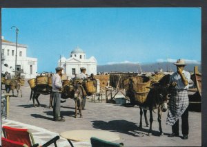 Animals Postcard - Donkeys - The Ambulant Shops, Myconos, Greece   RR3962