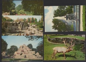 Lot of 5 Michigan ROYAL OAK Detroit Zoological Park - Zoo Animals  ~ Chrome