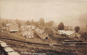 J52/ Meridale New York RPPC Postcard c1910 Creamery Buildings Occupational 121