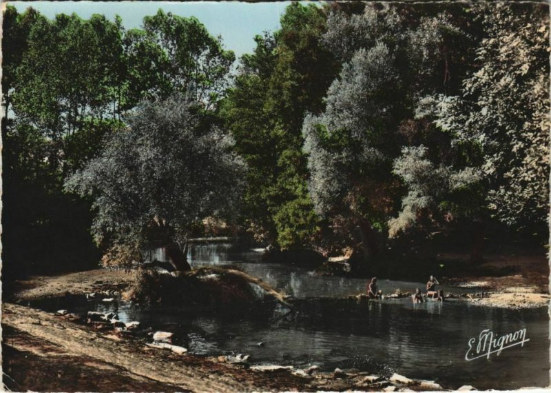 CPM TONNERRE Les Bords de l'Armancon - La Baignade (1196469)