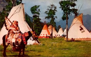 North American Indian In Colorful Ceremonial Dress