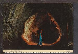 Thurston Lava Tube HI Postcard BIN 