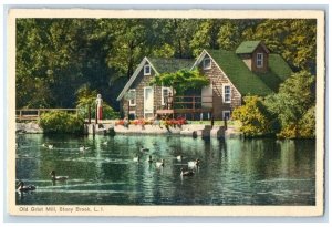 c1920's Old Gist Mill Stony Brook Long Island New York NY Unposted Duck Postcard