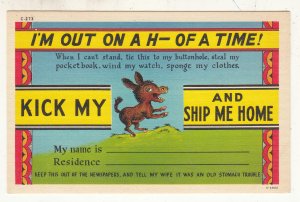 P3235 vintage postcard i,m out on a H- of a time kick my & ship me home, donkey