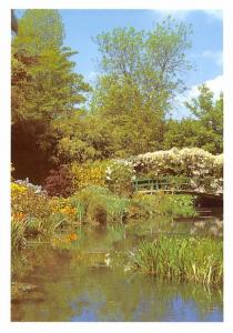 Le Jardin d'eau - Claude Monet