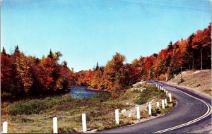 Natures Artistry Autumn Brush Old Road Country Drive Postcard Dexter VTG UNP 