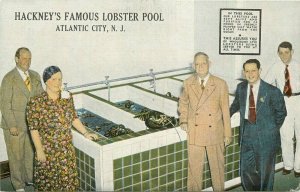Atlantic City New Jersey Hackney's Seafood Restaurant Kropp Postcard 21-6568
