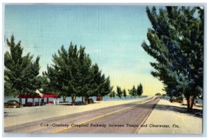 1952 Courtney Campbell Parkway Between Tampa and Clearwater FL Postcard 