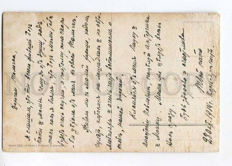 257624 White HORSE & Irish SETTER Stable by MULLER vintage PC