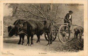 CPA Folklore - Auvergne - En Auvergne - Ox Wagon (772871)
