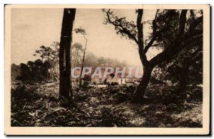 Gascony Landes Old Postcard A farm in the Landes