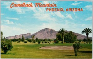 Phoenix Arizona Camelback Mountain Golf Course Postcard H75