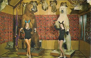 Harrisburg PA, Blue Mountain Hotel, 2 Sexy Women w Grizzly & Kodiak Bear Hunting