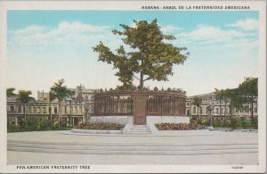Postcard Habana Cuba Pan American Fraternity Tree