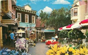 Amusement Disneyland Flower Mart Anaheim California Postcard 21-1223