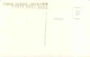 Okinawa Japan Farn Scene RPPC Postcard