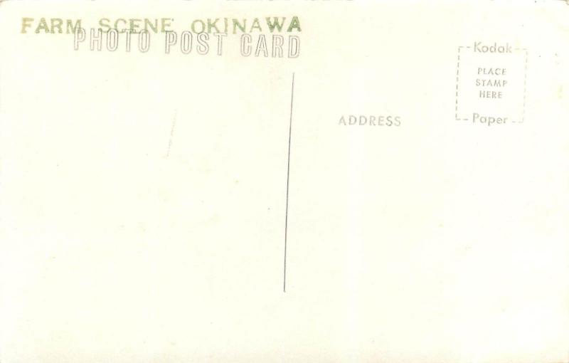 Okinawa Japan Farn Scene RPPC Postcard