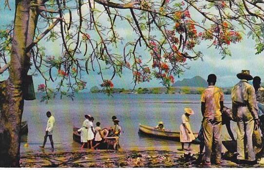 Martinique Trois-Rivieres Arrival Of The Fishermen