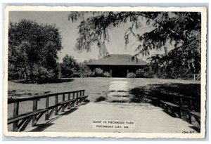 Scene In Pocomoke Park Pocomoke City Maryland MD Unposted Vintage Postcard 