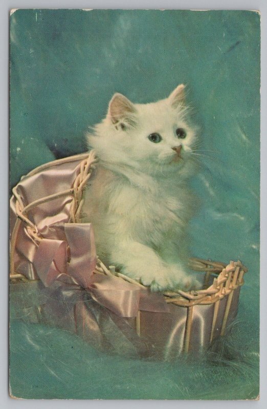 Cats~Fluffy White Blue-Eyed Kitten In Pink Basket~Postmark San Diego CA~1956 PC