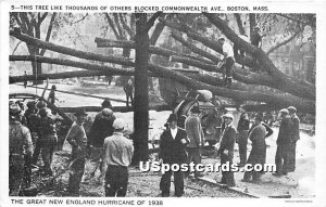 Tree Blocked Commonwealth Avenue Hurricane of 1938 - Boston, MA