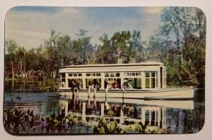 Electric Driven Glass Bottom Boat, Silver Springs, Florida Postcard