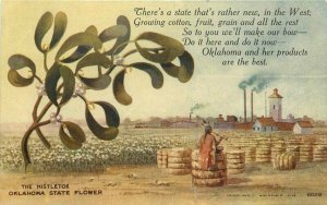 Agriculture Oklahoma Cotton artist impression C-1910 Postcard 20-120562